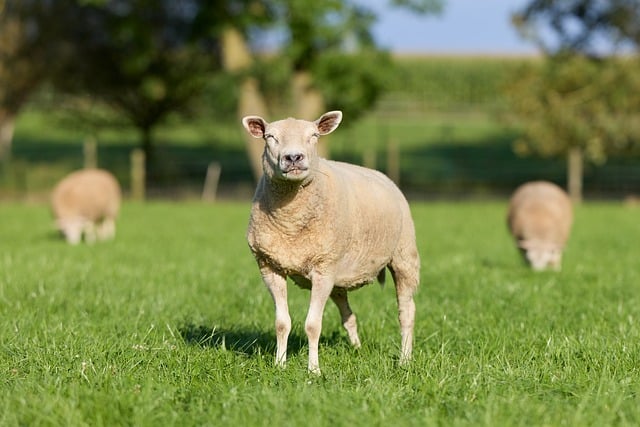 Vancouver’s Green Jobs Revolution: The Economic Shift Towards Sustainability