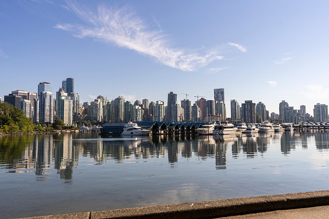 Vancouver’s Local Startups: The Engine Driving Economic Resilience