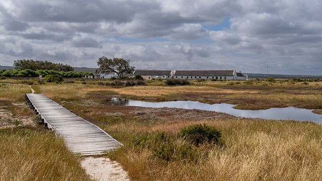 Vancouver’s Green Revolution: The City’s Commitment to Sustainable Urban Living