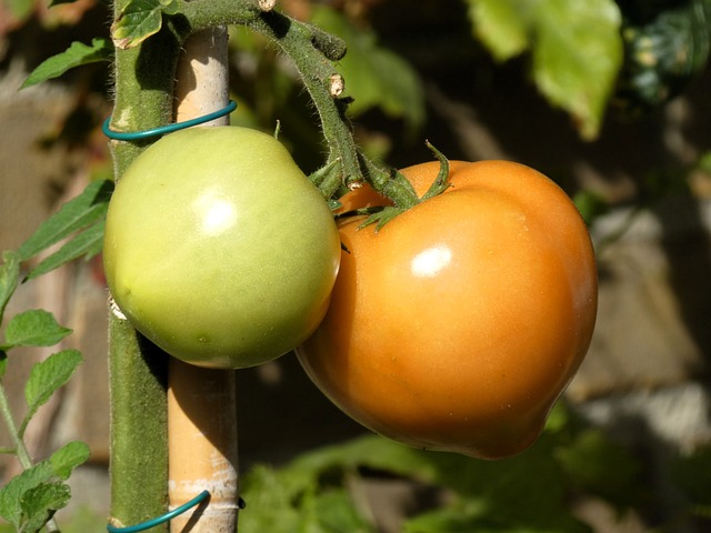 The Hidden Treasure of Vancouver: Café Medina