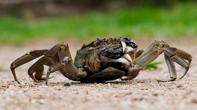 A Taste of Tradition at The Sandbar: Vancouver’s Waterfront Gem