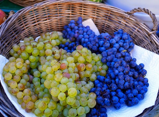 Savoring History and Flavor at The Naam: Vancouver’s Beloved Vegetarian Oasis