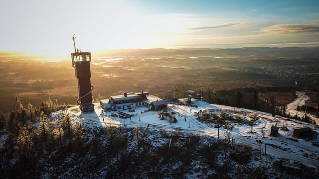 Vancouver’s Housing Crisis: Understanding the Response and Future Directions