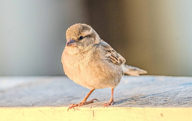Vancouver’s Housing Crisis: The Ongoing Battle for Affordability