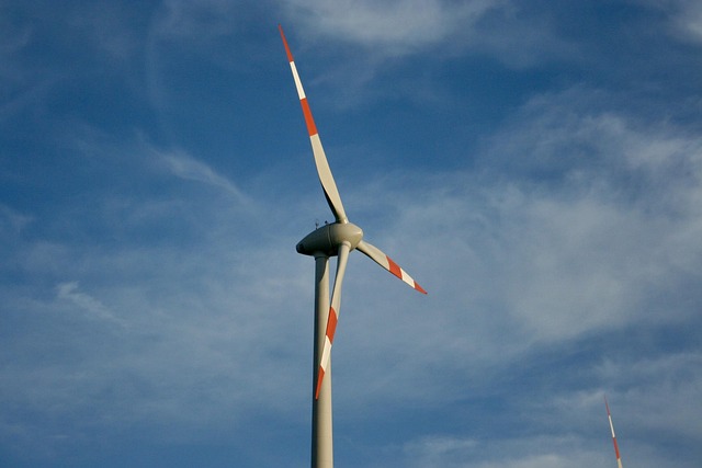 Vancouver’s Road to a Sustainable Economy: Innovations and Initiatives Leading the Charge