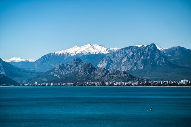 Exploring the Culinary Excellence of Blue Water Cafe in Vancouver