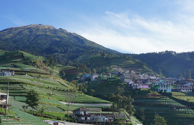 Vancouver’s Housing Crisis: Innovative Solutions and Community Resilience