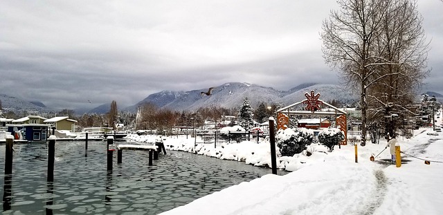 Vancouver’s Ambitious Green Space Initiatives: Revitalizing Urban Life and Promoting Sustainability