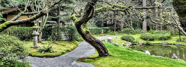 The Culinary Magic of Nammos: A Greek Delight in Vancouver