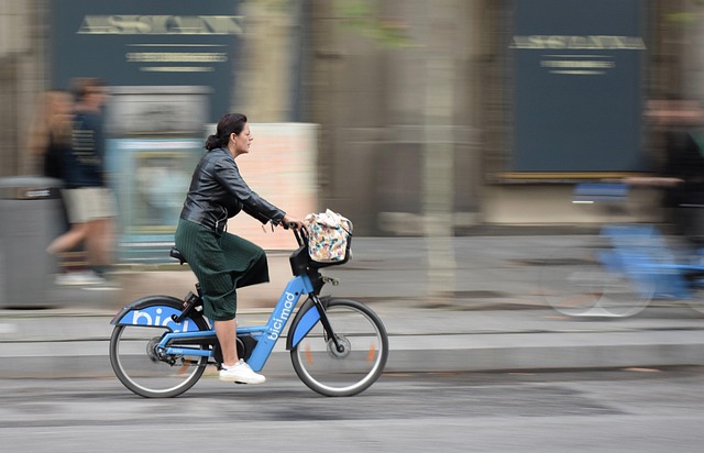 Navigating Climate Resilience: Vancouver’s Bold Steps Towards a Sustainable Future